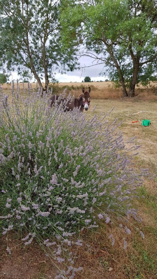 La Petite Houmee Campingplatz *